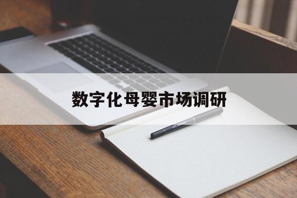 咸阳市数字化母婴市场调研(数字化母婴市场调研报告)